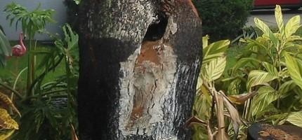 超高段的木雕刻