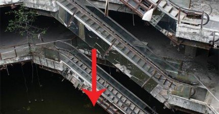 百貨公司底下的錦鯉魚