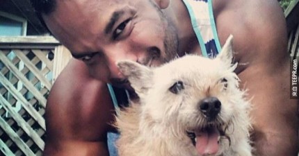 主人和狗狗的感人故事