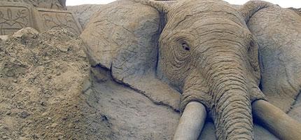 Paul-Hoggard的殺藝術