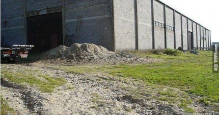 倉庫裡收藏珍貴的汽車