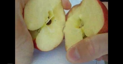 徒手切開蘋果
