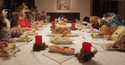 動物聖誕餐