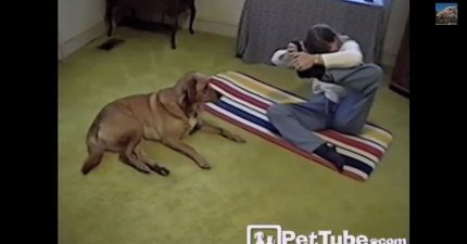 狗狗比主人還會做瑜伽