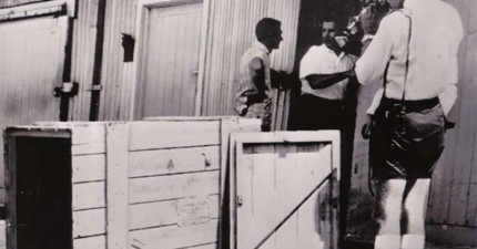 reg-spiers木箱空運回澳洲