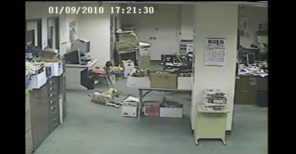 狗狗地震前發現