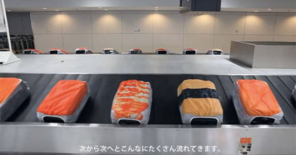 壽司造型行李