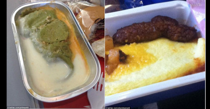 全世界最噁心的飛機食物