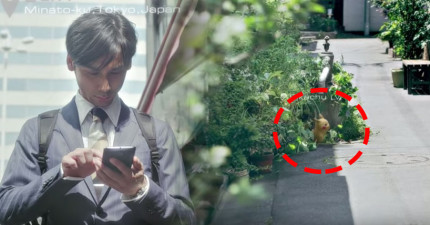 野外抓神奇寶貝