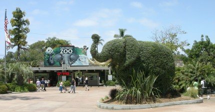 動物園大象